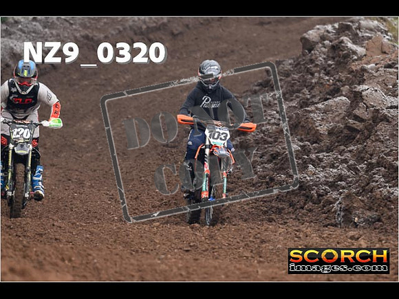 IntersGreenOrange-036