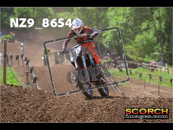 IntersGreenOrange-320