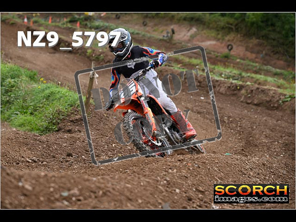 Experts-265