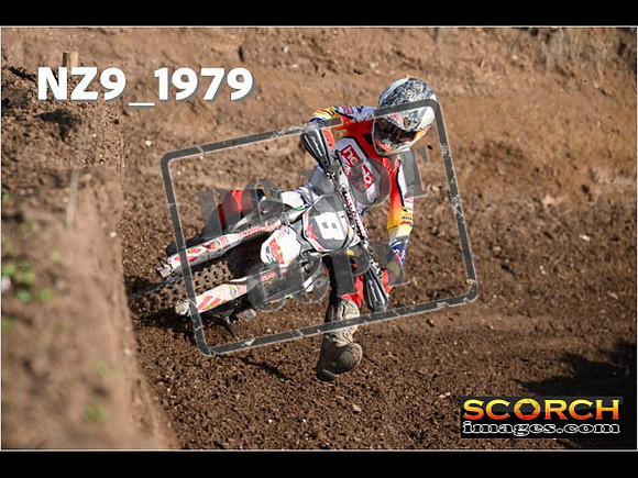 Experts-091