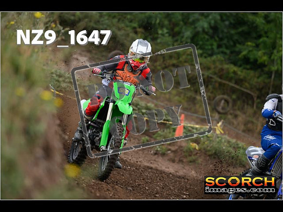 IntersGreenOrange-053