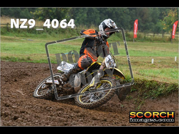 Experts-137