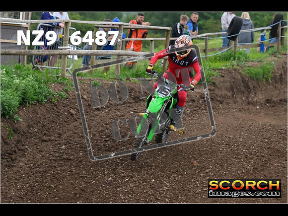 Experts-295