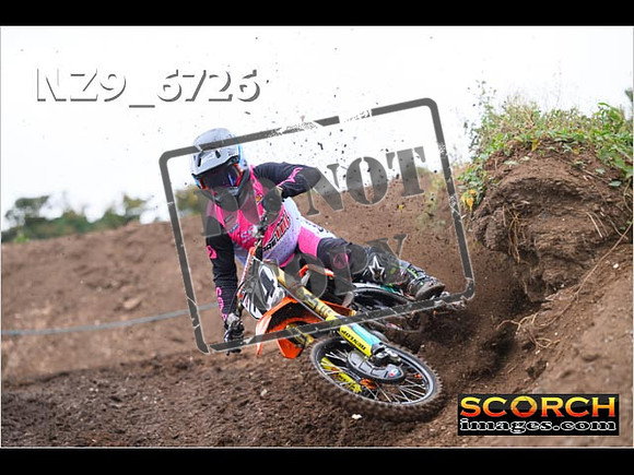 Experts-029