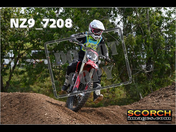 Inters Green-203