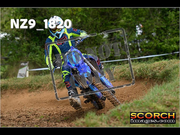 Novice-130