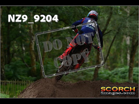 MX1-163