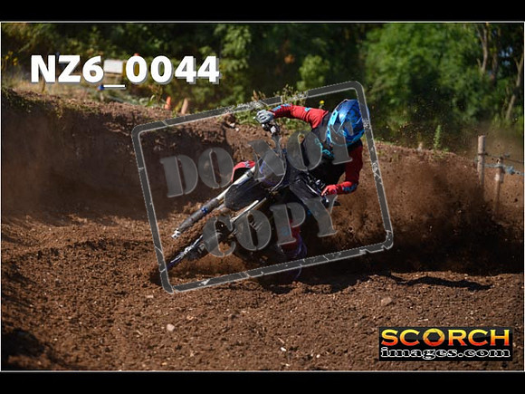 Experts-040