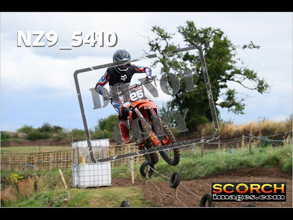 Experts-186