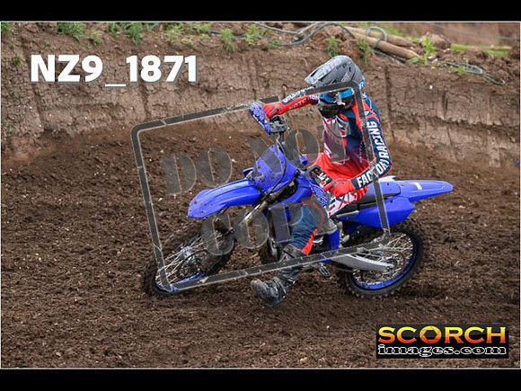 Experts-091