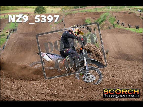 Experts-173