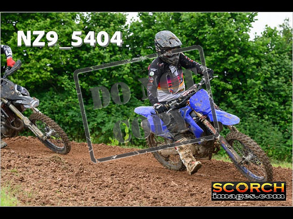 Experts-338