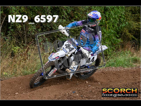 Experts-302