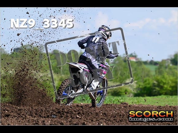 Experts-043