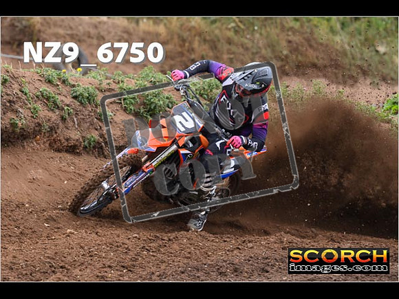 Experts-043