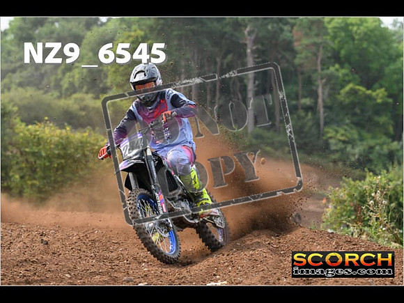 Experts-254