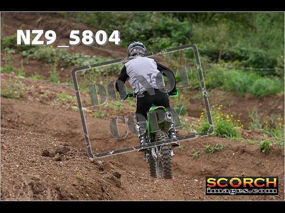 Experts-271