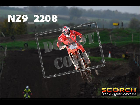 Experts-208