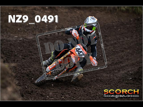 Experts-047