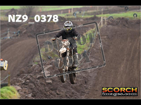 IntersGreenOrange-091