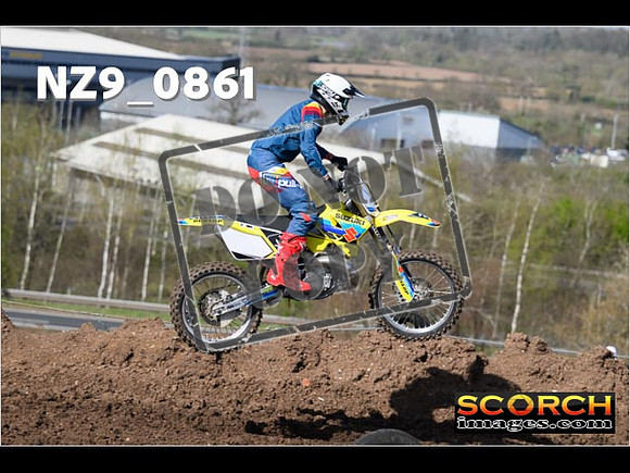 Experts-045