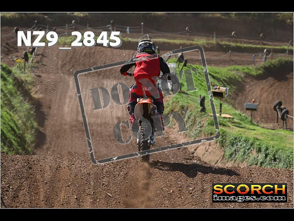 Experts-142
