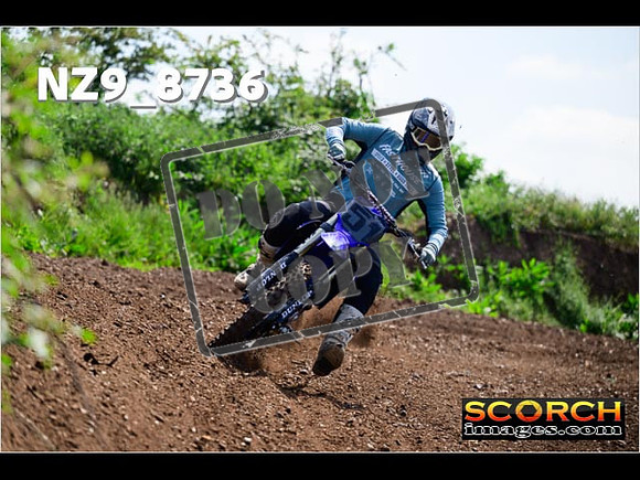 IntersGreenOrange-398