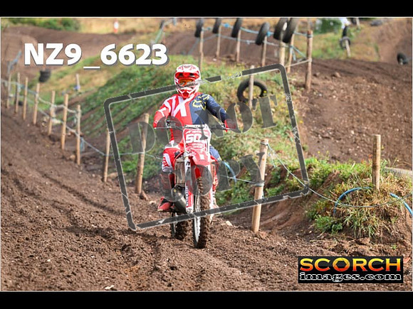 Red- Over 60-009