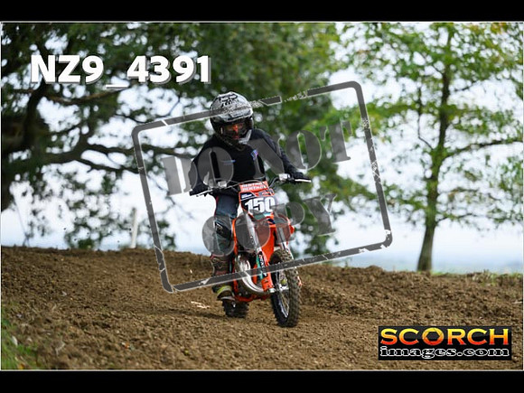 Auto 65's-055