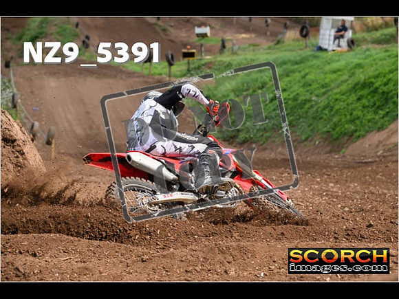 Experts-167