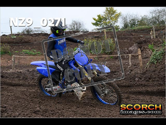 IntersBlue-358