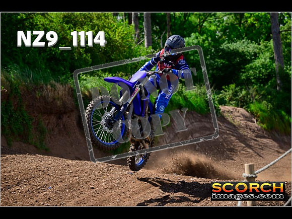 Experts-137