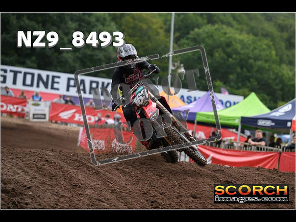 MX2-089