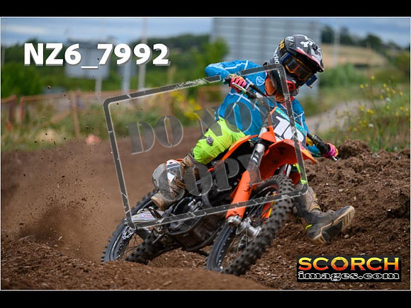 Experts-181
