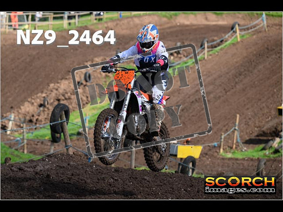 Experts-057