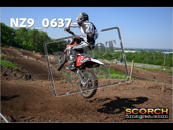 Experts-046