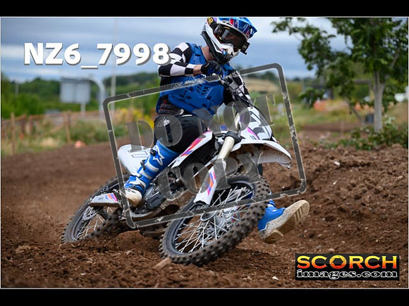 Experts-186