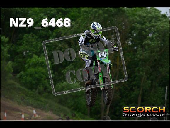 Experts-278