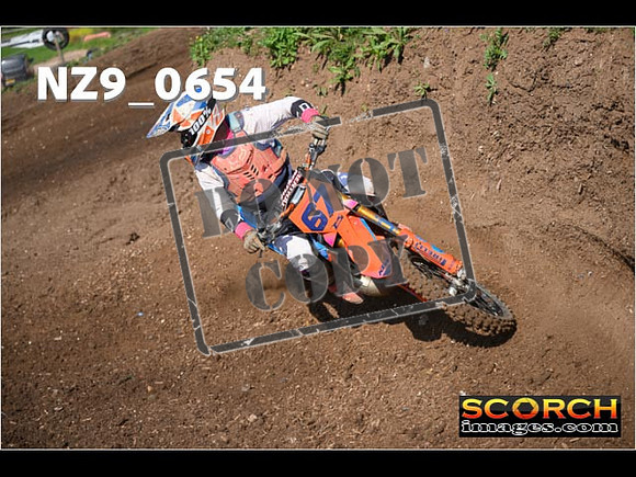 Experts-062