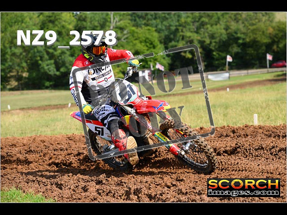 Experts-139
