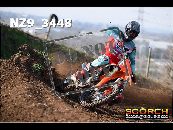 Experts-131