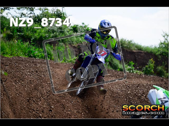 IntersGreenOrange-396