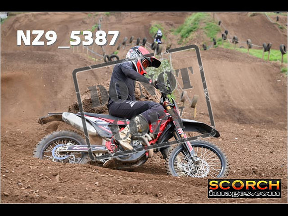 Experts-163