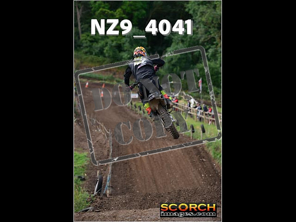Experts-146