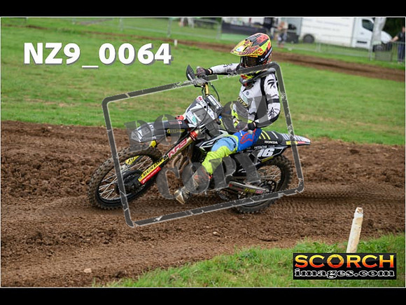 Novice-237