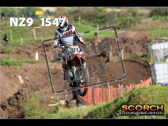 Experts-231