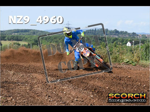 Experts-040