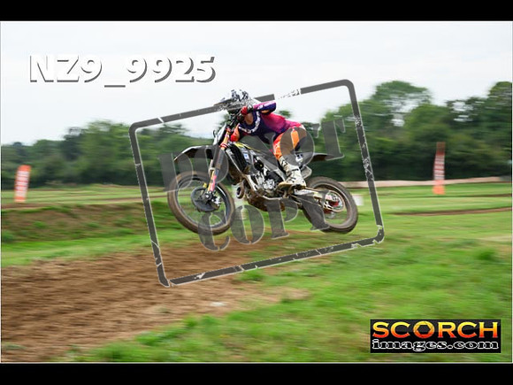 Experts-146