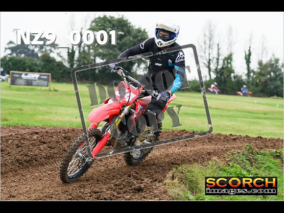 Novice-175