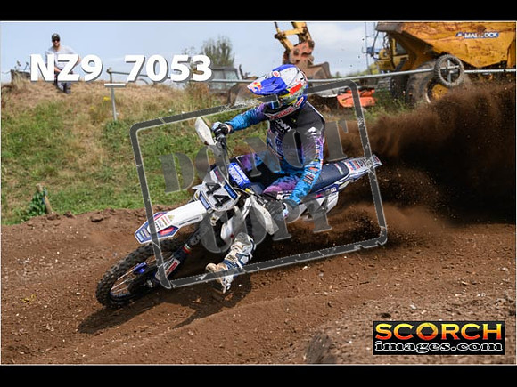 Experts-449